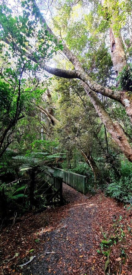 Kaka Point Spa Accommodation - Catlins Exterior photo